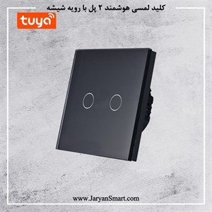 کلید 2 پل لمسی روشنایی ZIGBEE پلتفرم تویا