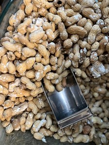 بادام زمینی غلاف‌دار تازه و باکیفیت