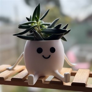 گلدان فانتزی Happy Pot