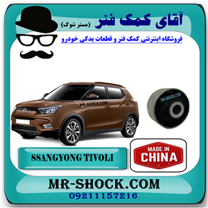 بوش بزرگ طبق پایین سانگ یانگ تیوولی برند ساخت چین با بهترین قیمت