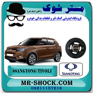 پولی سر میل لنگ سانگ یانگ تیوولی برند اصلی سانگ یانگ موتور با تضمین اصالت