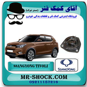 توپی سر کمک فنر سانگ یانگ تیوولی مدل 2015-2018 برند اصلی سانگ یانگ موتور با تضمین اصالت