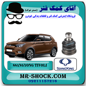 سیبک طبق پایین سانگ یانگ تیوولی برند اصلی سانگ یانگ موتور با تضمین اصالت