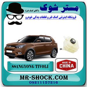 منبع انبساط سانگ یانگ تیوولی برند تجاری ساخت چین با بهترین قیمت