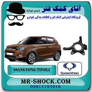سگدست جلو سانگ یانگ تیوولی 2015-2018 برند اصلی سانگ یانگ موتور با تضمین اصالت