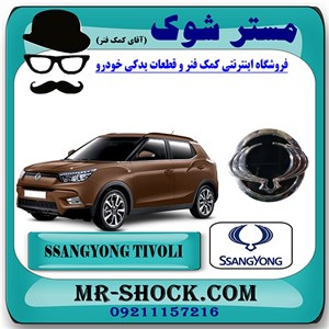 آرم جلو پنجره سانگ یانگ تیوولی 2015-2018 برند اصلی سانگ یانگ موتور با تضمین اصالت