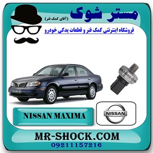 فشنگی روغن نیسان ماکسیما برند اصلی نیسان موتور با تضمین اصالت