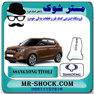 واشر درب سوپاپ سانگ یانگ تیوولی برند اصلی سانگ یانگ موتور با تضمین اصالت