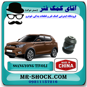 بوش کوچک طبق پایین سانگ یانگ تیوولی مدل 2015-2018 برند ساخت چین با بهترین قیمت