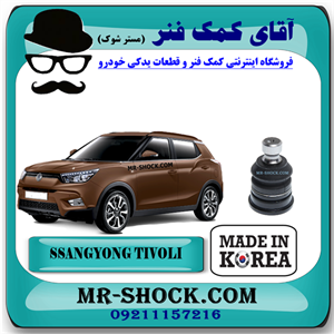 سیبک طبق سانگ یانگ تیوولی برند تجاری ساخت کره جنوبی با بهترین کیفیت