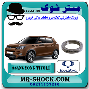 کاسه نمد سر میل لنگ سانگ یانگ تیوولی برند اصلی سانگ یانگ موتور
