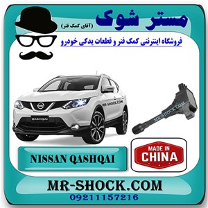 کویل نیسان قشقایی برند ساخت چین با بهترین کیفیت