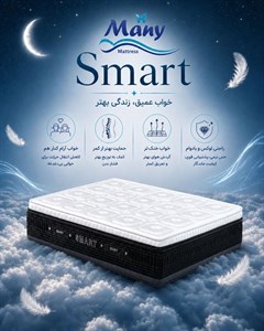 تشک مانی اسمارت (Smart )
