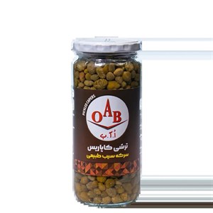 ترشی کاپاریس ۵۰۰ گرمی