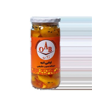 ترشی انبه ۵۰۰ گرمی