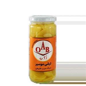 ترشی موسیر ۵۰۰ گرمی