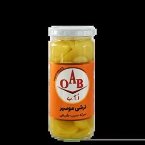 ترشی موسیر ۵۰۰ گرمی اُ آ ب