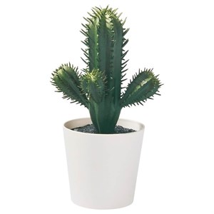 گیاه مصنوعی کاکتوس ایکیا مدل IKEA FEJKA