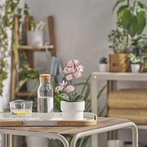 گلدان ارکیده ایکیا مدل FEJKA