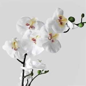 گلدان ارکیده بلند ایکیا مدل FEJKA