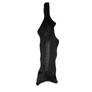 چرم طبیعی مدل ساق شتر مرغ کد OL220