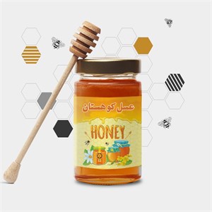 عسل کوهستان با زنبور غیر پرورشی 200 گرمی - کاملا طبیعی و خالص - محصولی از فروشگاه ایلیا طب