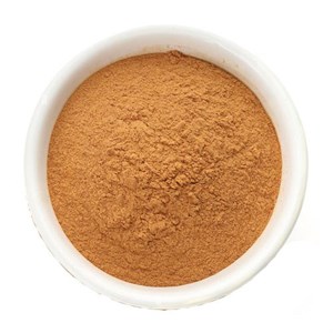 پودر دارچین 500 گرم