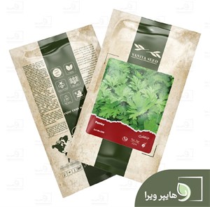 بذر جعفری وانیا سید