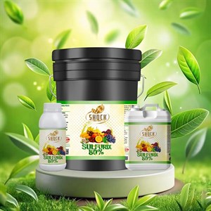 کود گوگرد مایع 80% شوک