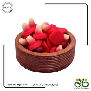 پاستیل ببتو مدل قارچ | BEBETO Mushroom Jelly