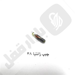 چیپ 48 زانتیا چینی