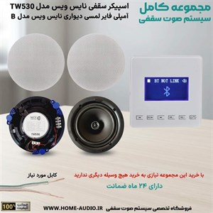 مجموعه اسپیکر سقفی نایس ویس TW530آمپلی فایر مدل B