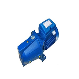 Mega Pump Mega Pump CAM 100 Stainless Steel Jet Pump – 1 HP