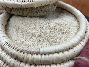 برنج صدری ممتاز هاشمی گیلان 