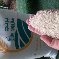 برنج دونوج یا برنج وحشی ۱۰ کیلویی