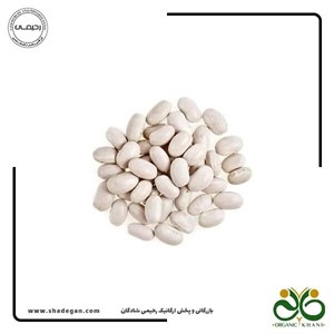 لوبیا مرمری ریز