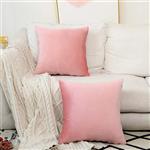 HOME BRILLIANT 2 Pack Valentines Decor Velvet Cushion Covers Set Throw Pillow Cases Square Decorative Pillowcases, 18 x inches(45x45 cm), Blush Pink 