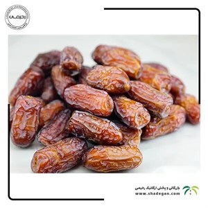 خرما پیارم کشت طلایی فلّه ای