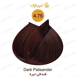 رنگ موی فندقی آرتین 4.75 فندقی تیره 100 میل