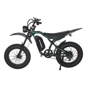 دوچرخه برقی مدل EB-01 سایز طوقه 20 اینچ