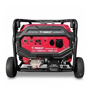 موتور برق 12 کیلووات استارتی فیروچی FIROCCI مدل FRG20000E2-A-RC