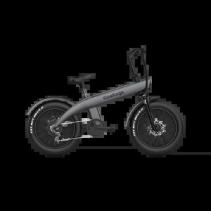 دوچرخه برقی گلتیج مدل EBK01 EcoMotion