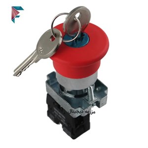 شستی قارچی قفل شو کلید خور XB2-BS142 (مرغوب)
