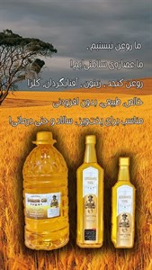 پک 12 عددی روغن آفتاب گردان