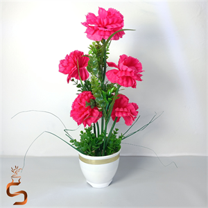 گل داوودی 5 گل در گلدان سفید