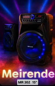 اسپیکر بلندگو حرفه ای با 2عدد میکروفن Meirende MR-302