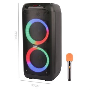 اسپیکر چمدانی بلوتوثی برودو BTS-2173میکروفون