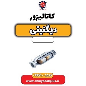 کاتالیزور دیگنیتی