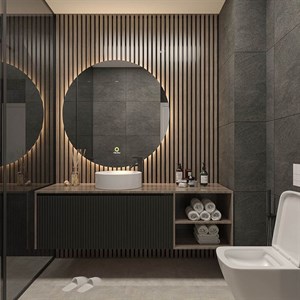 آینه سرویس بهداشتی تارادکور مدل بکلایت ساده