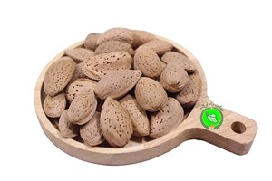 بادام سنگی ایرانی